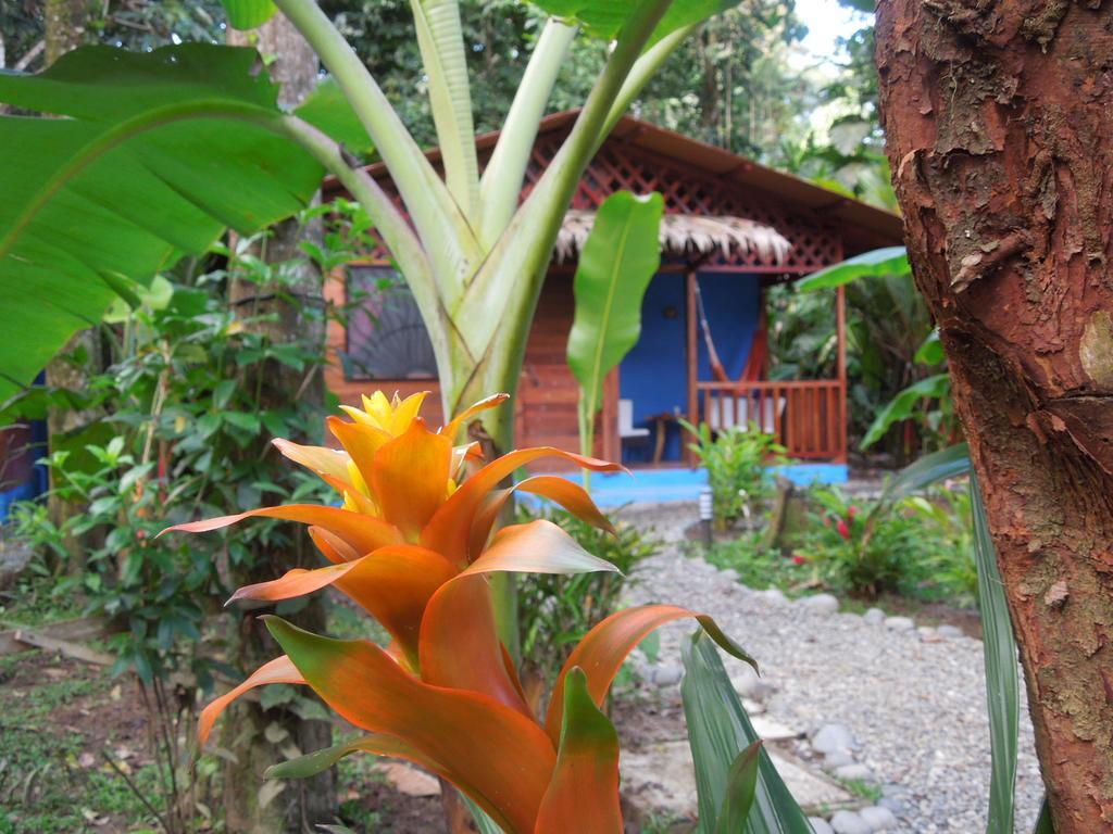 Casitas Las Flores Puerto Viejo de Talamanca Extérieur photo