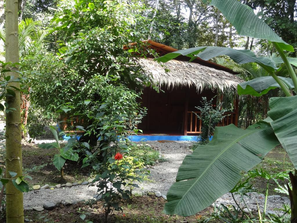 Casitas Las Flores Puerto Viejo de Talamanca Extérieur photo